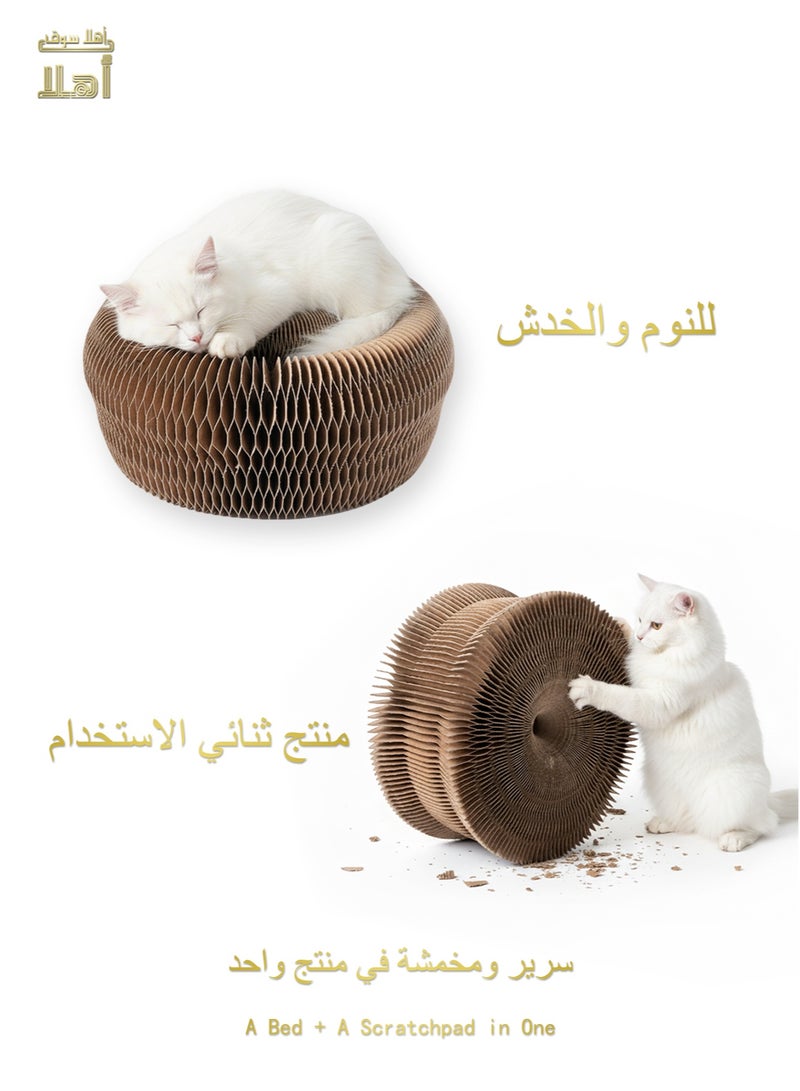 Multi-Functional Cat Toy – Scratch Pad & Bed in One - Image 2