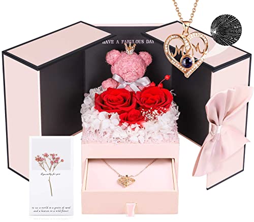 ADDWel Birthday Gifts for Mom from Daughter and Son, Unique Mother Birthday Gift Idea, Preserved Real Roses with I Love You in 100 Languages Mom Necklace, Cool Present to Mother Mama - Image 1