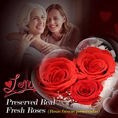 ADDWel Birthday Gifts for Mom from Daughter and Son, Unique Mother Birthday Gift Idea, Preserved Real Roses with I Love You in 100 Languages Mom Necklace, Cool Present to Mother Mama - Image 3