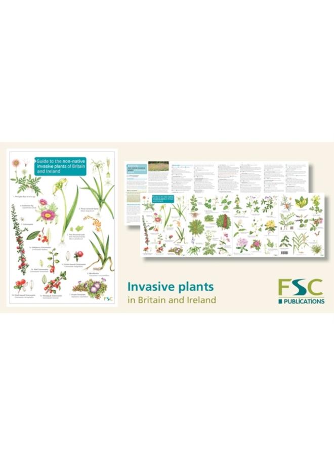 Guide to the non-native invasive plants of Britain and Ireland 