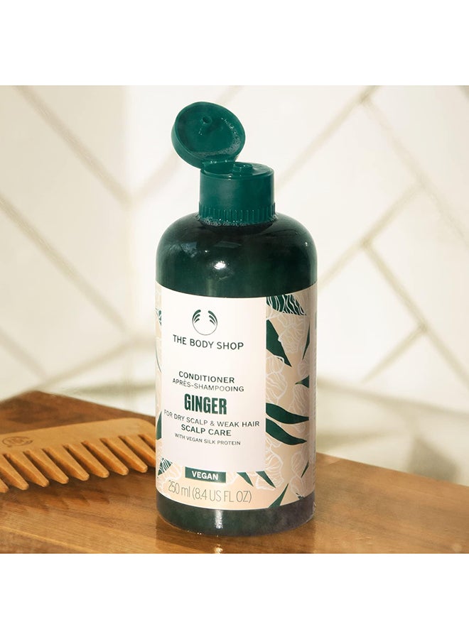 THE BODY SHOP Ginger Scalp Care Conditioner for Fine, Weak Hair – Reduces Hair Breakage & Friction, Strengthens & Repairs Hair, Suitable for Sensitive Scalps, Part of 3-Step Hair Repair Routine, 97% Natural Ingredients - Image 4