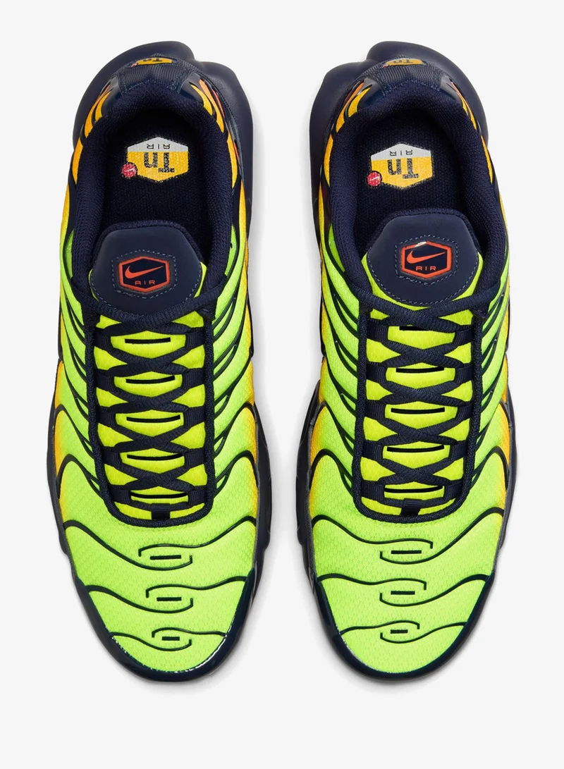 Nike Air Max Plus Og