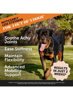 Pet Honesty Pet Honesty Hip & Joint Health Max Strength - Natural Joint Supplement for Dogs Chews - Glucosamine, Omega-3s, Chondroitin, Green Lipped Mussel - Help Improve Mobility, May Reduce Discomfort (90 ct)  - Image 2