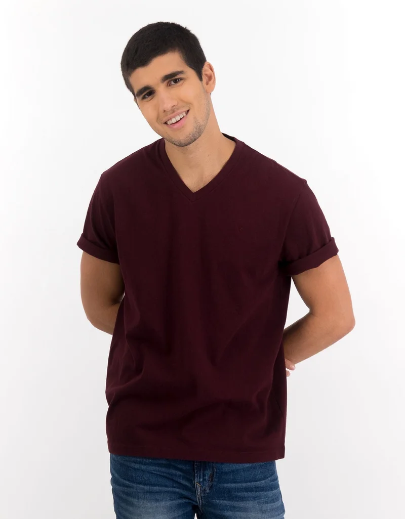 American Eagle AE Super Soft Icon V-Neck T-Shirt