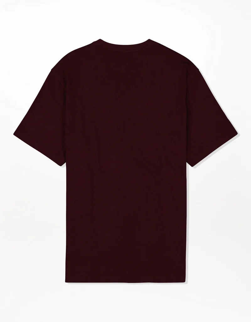 American Eagle  AE Super Soft Icon V-Neck T-Shirt for Men | Best Price UAE