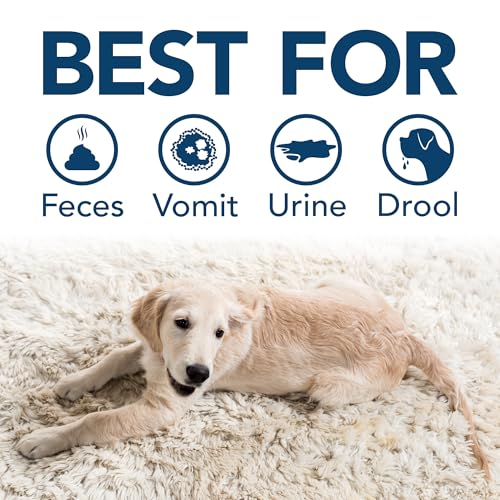 Simple Solution Stain & Odor Eliminator for Pets, Carpet Deodorizer, Enzyme Pet Odor Eliminator for Home, Stain Remover for Cat & Dog Pee, Urine Destroyer, Carpet Cleaner Spray, Gallon - Image 2