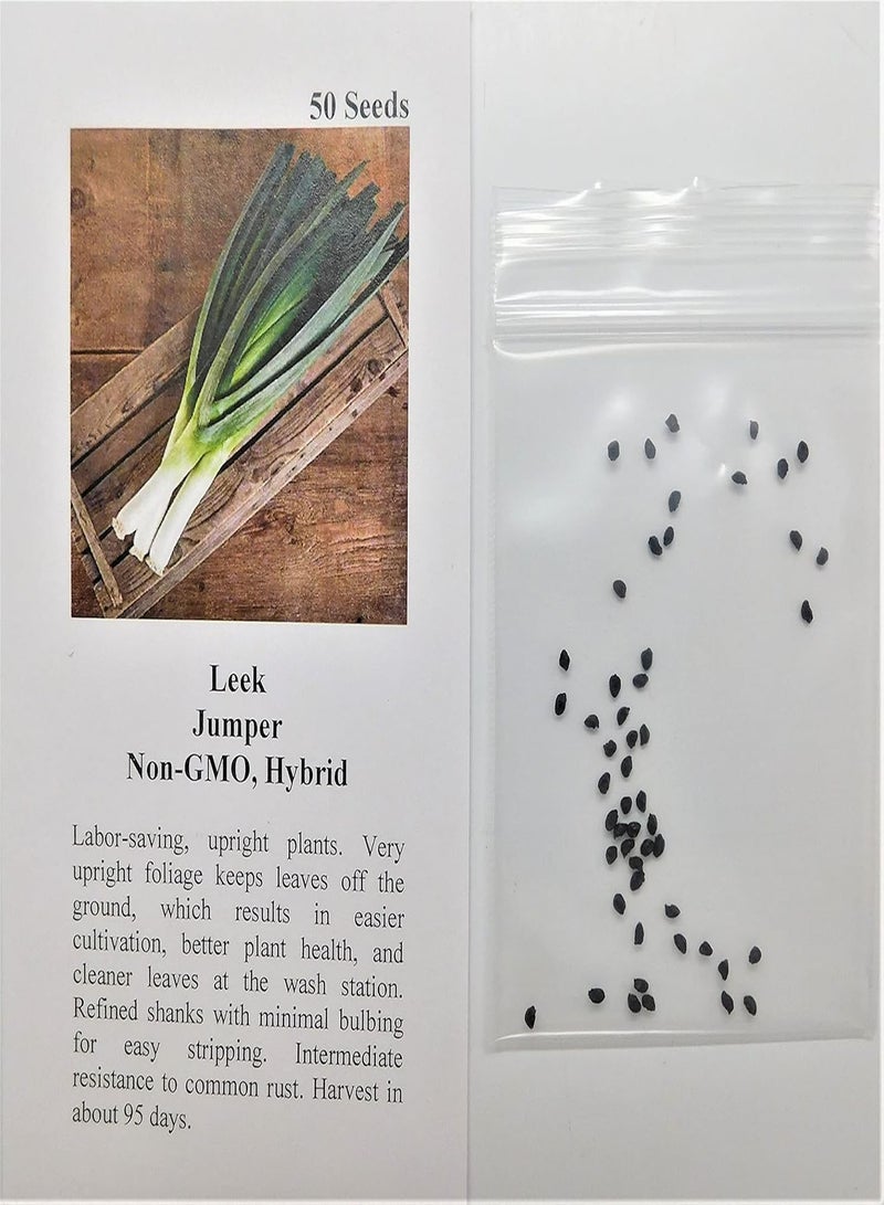 GGOOT Leek Jumper 7221 (White) 50 Non-GMO, Hybrid Seeds - Image 2