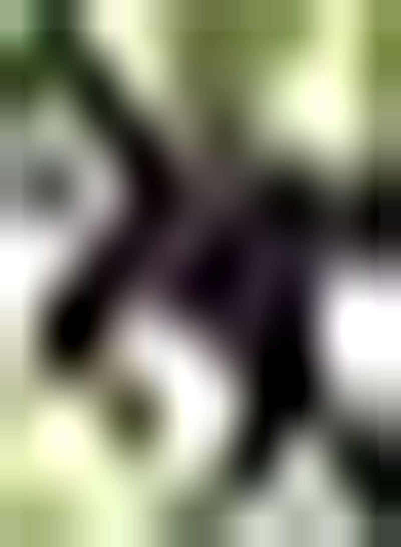 GGOOT 20Stück rote Traubenkerne berühmte Kletterfrüchte Gartenliebhaber lieben Einfach zu wachsen geeignet für Hausgarten Balkonpflanzung wartungsarm - Image 2