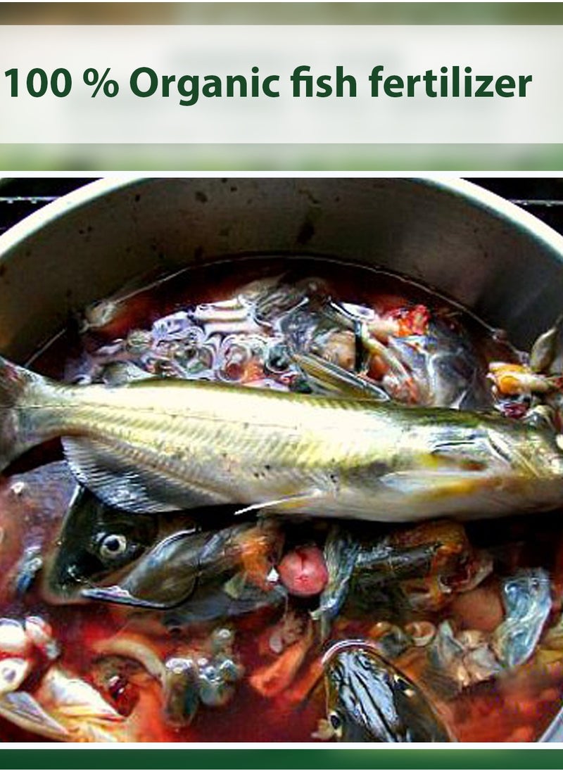 Agrofish Liquid Fish Organic Fertilizer 3.8L