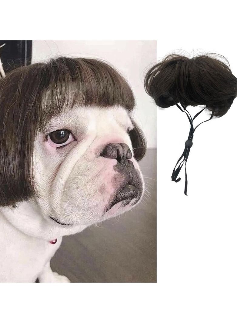 شعر مستعار للحيوانات الأليفة، أدوات تنكرية، كلاب، قطط، ملابس متبادلة، شعر، قبعات، أزياء، إكسسوارات رأس، النمط 2 - Image 1