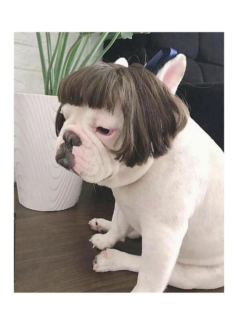 شعر مستعار للحيوانات الأليفة، أدوات تنكرية، كلاب، قطط، ملابس متبادلة، شعر، قبعات، أزياء، إكسسوارات رأس، النمط 2 - Image 2