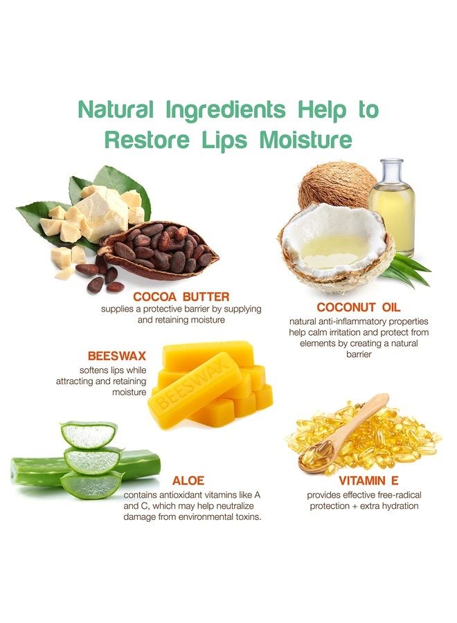 Nature's Bees (24 Count, 8 Flavors) Cocoa Butter Flavored Lip Balm Tubes Set Bulk Assortment Natural Chap Treatment Moisturizer For Very Dry Lips - Image 5