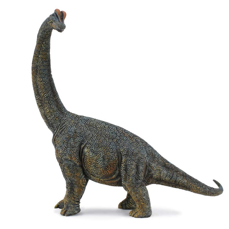 CollectA Prehistoric Life Brachiosaurus Deluxe 1:40 Scale Dinosaur Figure - Authentic Hand Painted Model - Image 1
