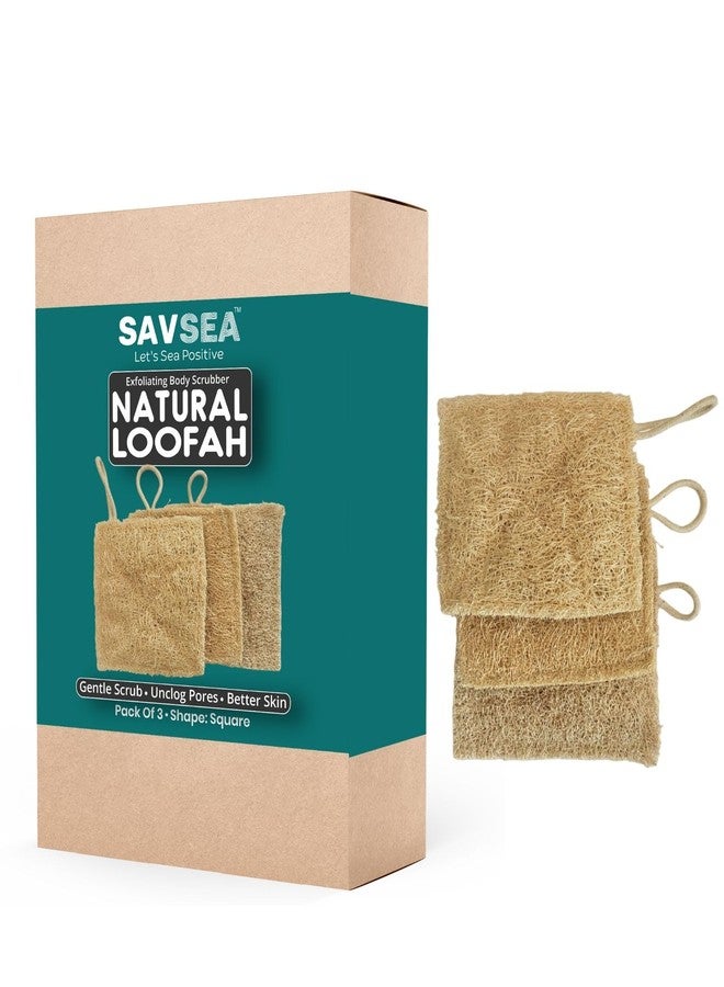 SAVSEA Natural Loofah for Bathing: Unisex Loofah for Women and Men, Also Perfect for Kids | Square Shaped Natural Loofah | Pack of 3 - Image 1