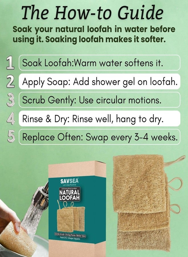SAVSEA Natural Loofah for Bathing: Unisex Loofah for Women and Men, Also Perfect for Kids | Square Shaped Natural Loofah | Pack of 3 - Image 4