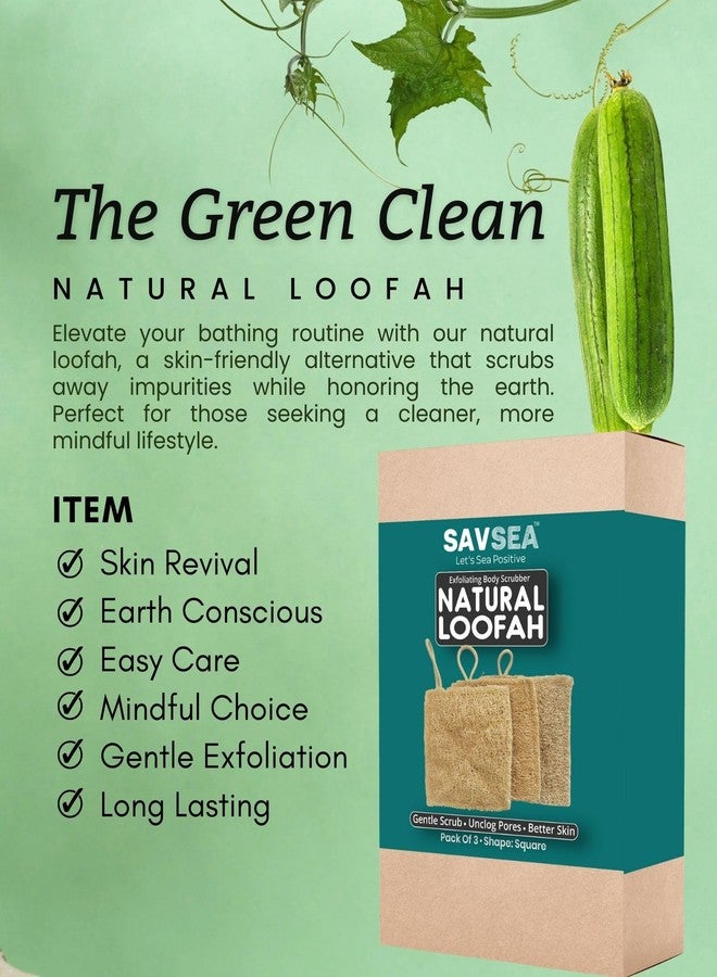 SAVSEA Natural Loofah for Bathing: Unisex Loofah for Women and Men, Also Perfect for Kids | Square Shaped Natural Loofah | Pack of 3 - Image 2