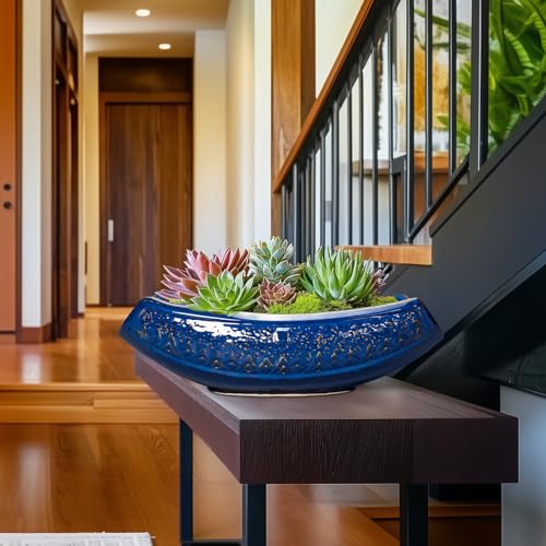Teagas Bonsai Pots - 18 Inch Large Ceramic Succulent Pots for Indoor Outdoor, Bonsai Planter with Drainage Hole, Ceramic Flower Pot, Decorative Plant Pot, Gifts for Plant Lovers, Office Decor, Blue - Image 5