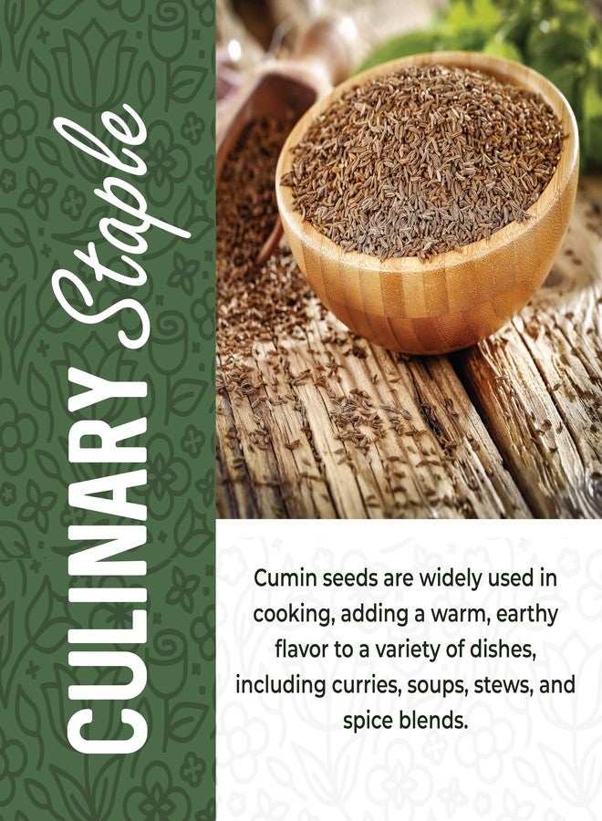 Herbaila Cumin Seeds Whole 16oz, Cumin Seasoning, Jeera Cumin Seeds, Excellent Flavor, Aromatic, Whole Cumin Seed, Best for Tempering, Cooking, Spice Blends & Seasonings, Cumin Spice 1 lb - Image 4
