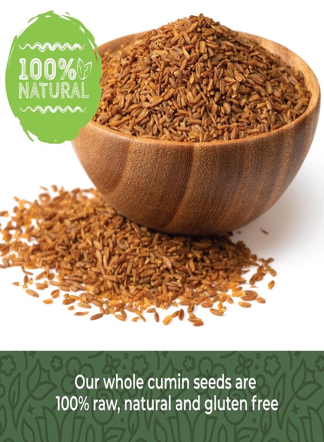 Herbaila Cumin Seeds Whole 16oz, Cumin Seasoning, Jeera Cumin Seeds, Excellent Flavor, Aromatic, Whole Cumin Seed, Best for Tempering, Cooking, Spice Blends & Seasonings, Cumin Spice 1 lb - Image 2