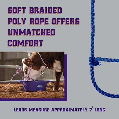 Weaver Livestock حزام حيوانات المزرعة من ويڤر، حبل بولي مضفر، قابل للتعديل، طراز حديث لحزام الأبقار والعجول، معدات التعامل مع الماشية للعرض، أزرق - Image 3