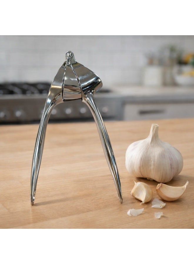 RISSA 🧄 High-quality stainless steel garlic press – strong and durable for professional performance 🧄✨ - Image 1
