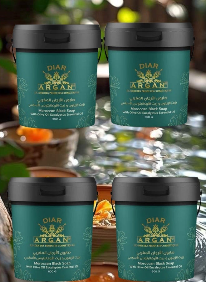 Diar Argan 4 Pieces Moroccan Argan Soap with Olive Oil and Eucalyptus Oil 600grams - Image 1