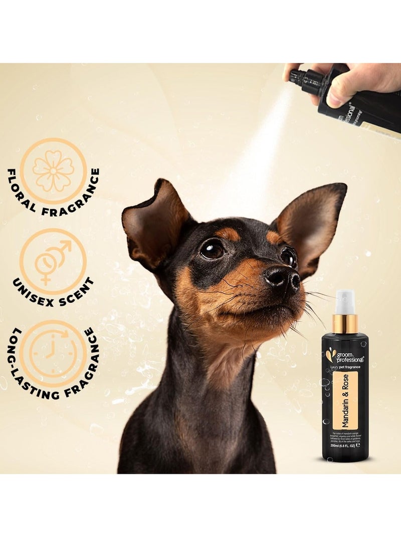 Groom Professional Mandarin & Rose Cologne-Luxury 200 ml - Image 2