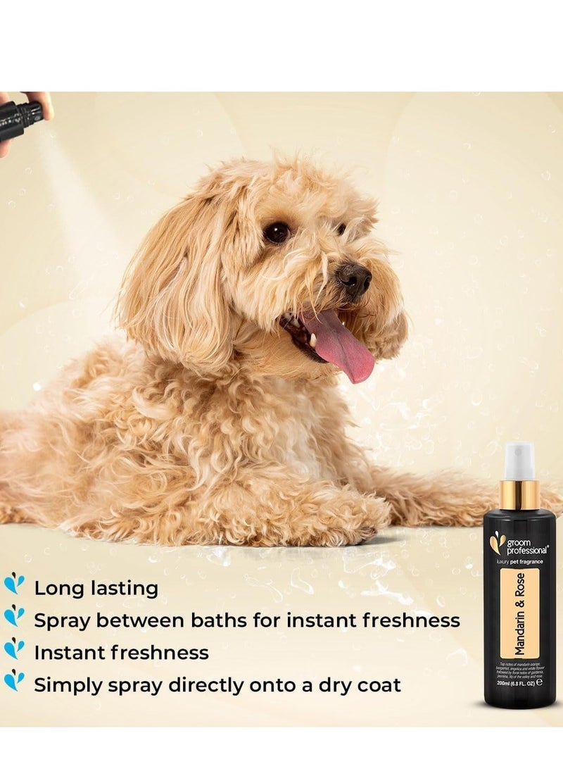 Groom Professional Mandarin & Rose Cologne-Luxury 200 ml - Image 3