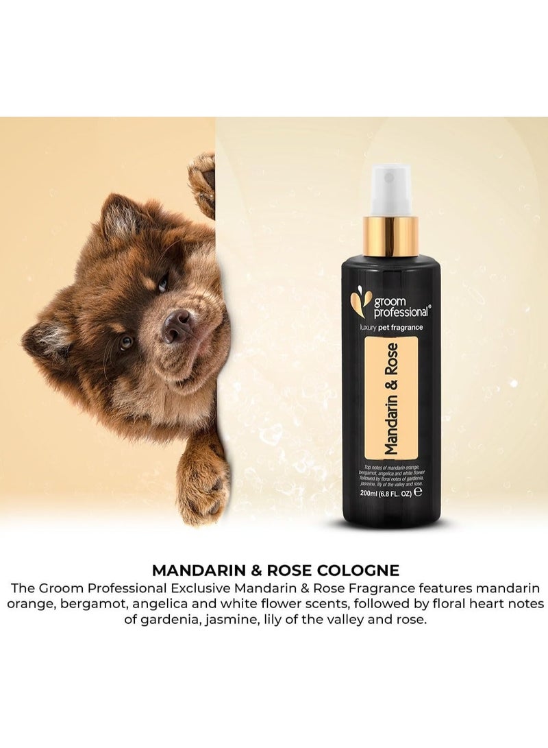 Groom Professional Mandarin & Rose Cologne-Luxury 200 ml - Image 4