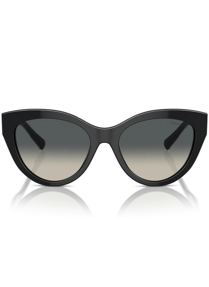 Tiffany Tiffany TF4220 8001/71 54 Women's Sunglasses  - Image 2