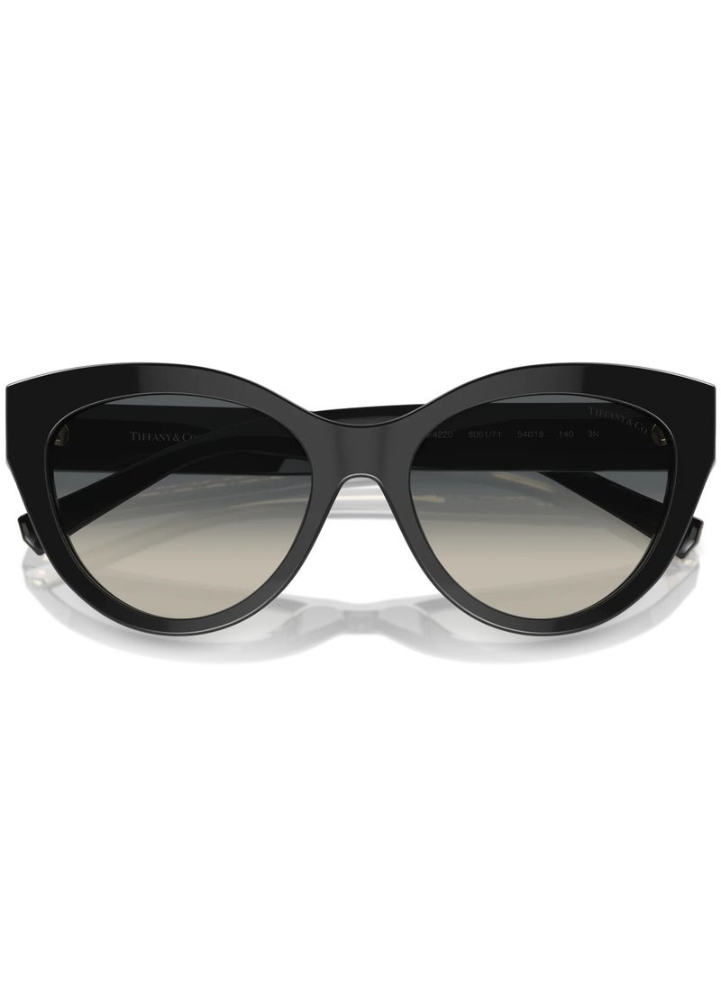 Tiffany Tiffany TF4220 8001/71 54 Women's Sunglasses  - Image 5