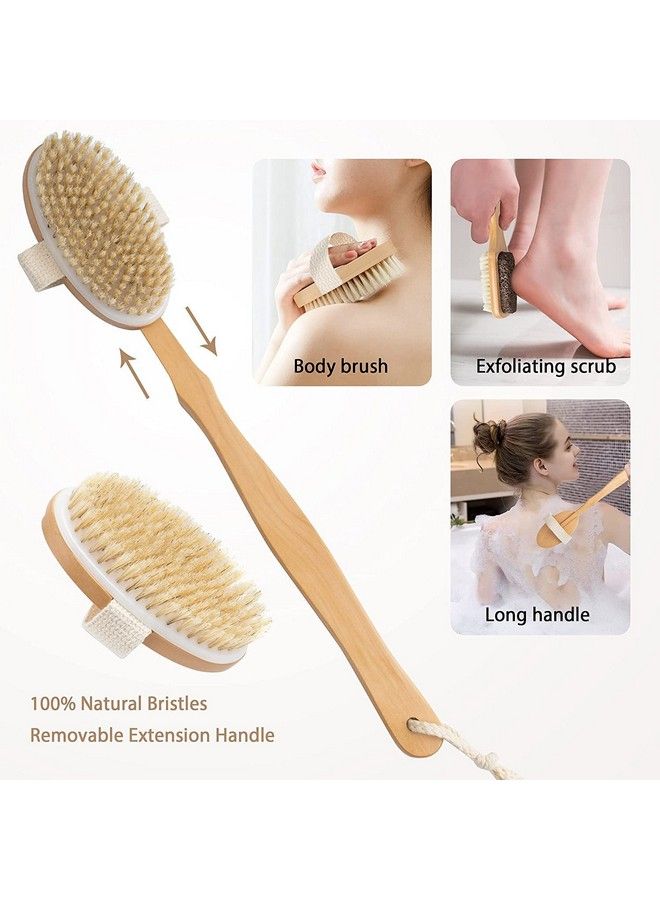 Amzgear Body Brush For Wet And Dry Brushing Gentle Exfoliating For Glowing Skinget Rid Of Your Cellulite And Dry Skin Gentle Massage Nodes Loofah For Women Long Wooden Handle (Detatchable) - Image 4
