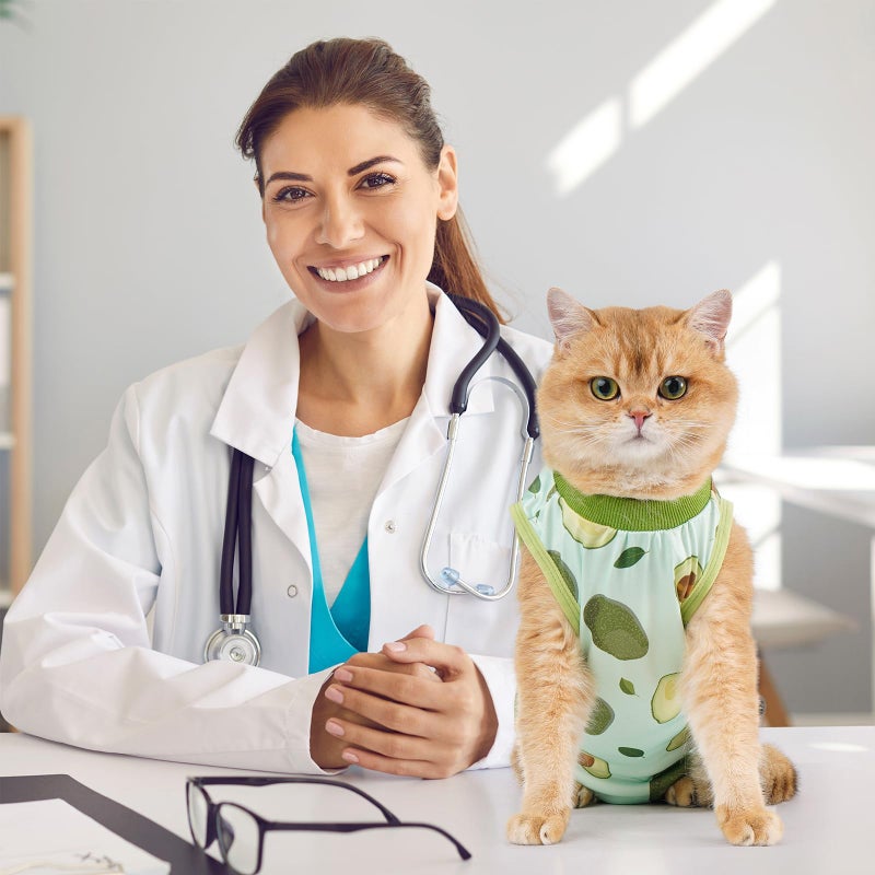 Avont Cat Recovery Suit - Kitten Onesie for Cats After Surgery, Cone of Shame Alternative Surgical Spay Suit for Female Cat, Post-Surgery or Skin Diseases Protection -Avocado(S) - Image 2