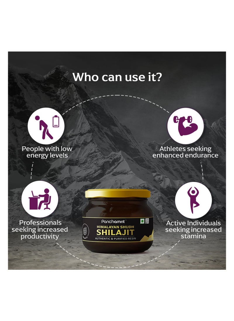Panchamrit Himalayan Shudh Shilajit Resin- 20g  - Image 4