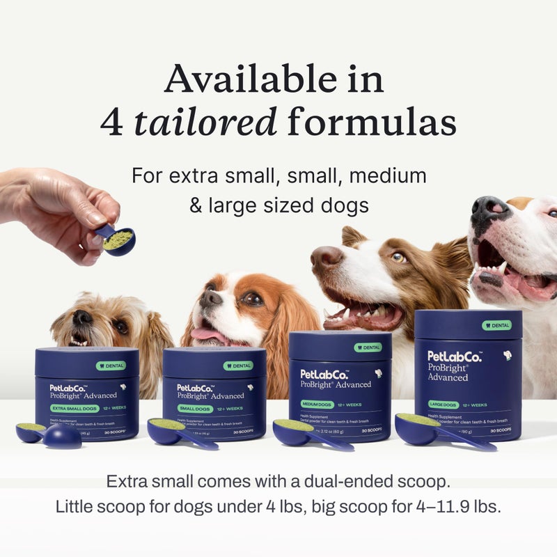 PetLab Co. ProBright Advanced Dental Powder - Dog Breath Freshener - Teeth Cleaning Made Easy â€“ Targets Tartar & Bad Breath - Packaging May Vary - Formulated for Medium Size Dogs - Image 5