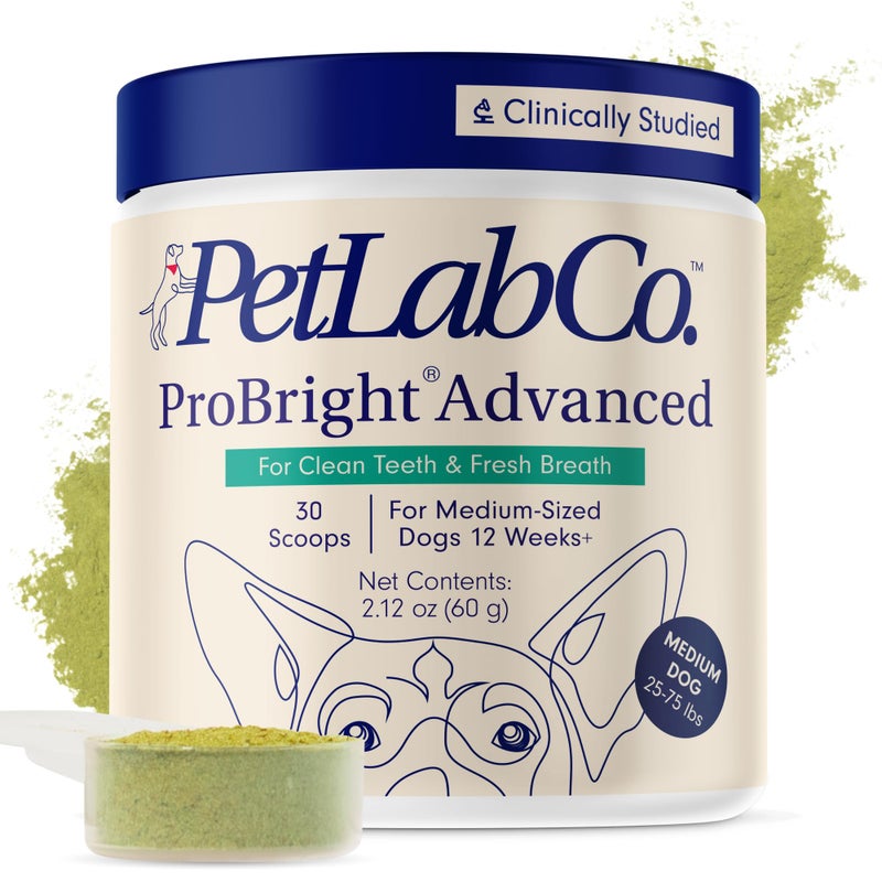 PetLab Co. ProBright Advanced Dental Powder - Dog Breath Freshener - Teeth Cleaning Made Easy â€“ Targets Tartar & Bad Breath - Packaging May Vary - Formulated for Medium Size Dogs - Image 1