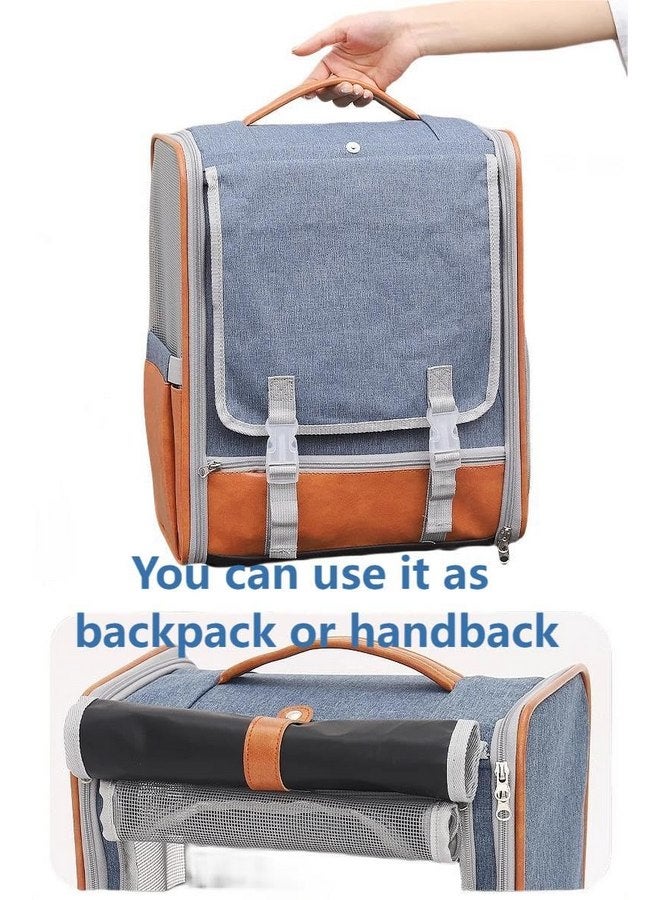 حقيبة ظهر لحمل القطط والكلاب والحيوانات الصغيرة، حقيبة شفافة قابلة للطي وجيدة التهوية للحيوانات الأليفة للسفر والمشي لمسافات طويلة والتخييم في الهواء الطلق والمدرسة والمستشفى - Image 4