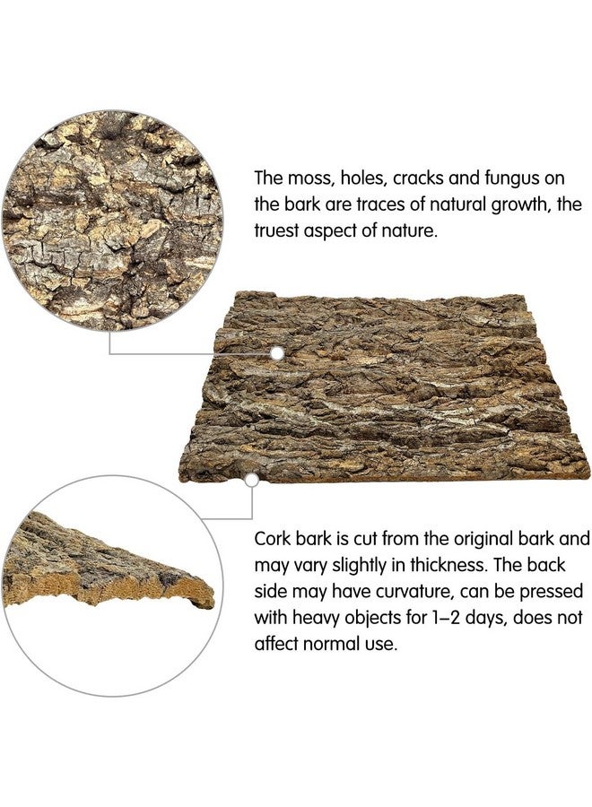 Kathson kathson 2PCS Thicker Cork Tile Background Bark 11.8 "L x 11.8" W x 0.7‘’ H Reptile Tank Terrarium Background Natural Reptile Climbing Mat for Spider Gecko Lizard Chameleon Bearded Dragon Snake  - Image 5