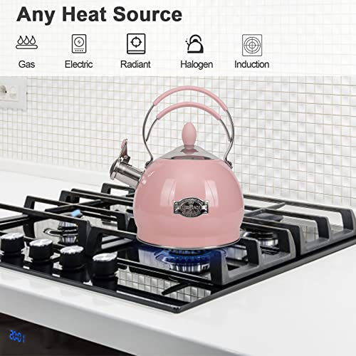 LUXGRACE Whistling Tea Kettle Stainless Steel Teapot, Teakettle for Stovetop Induction Stove Top, Fast Boiling Heat Water Tea Pot 2.6 Quart - Image 2