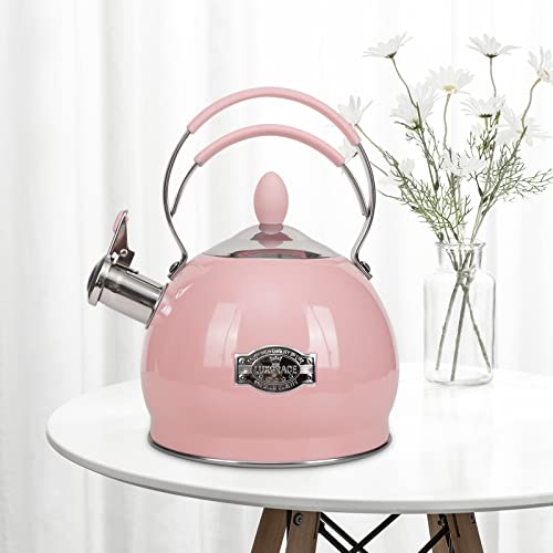 LUXGRACE Whistling Tea Kettle Stainless Steel Teapot, Teakettle for Stovetop Induction Stove Top, Fast Boiling Heat Water Tea Pot 2.6 Quart - Image 4