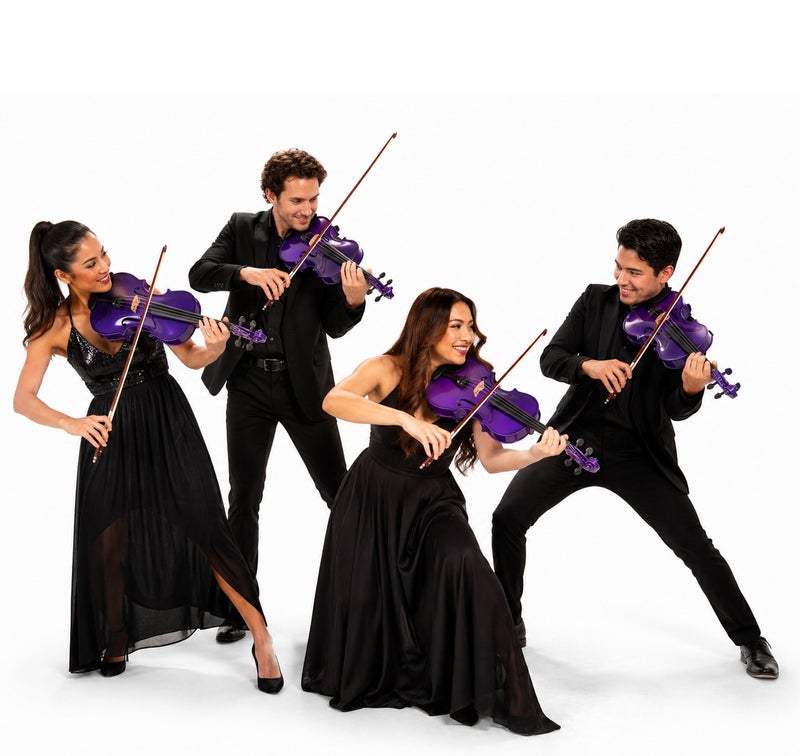 Megarya Glossy Purple Finish Handmade 4/4 Full Size Acoustic Violin – Premium Indian Maple Wood Violin for Beginners, Students, Adults & Kids | Professional Handmade Violin with Rich Sound, Complete Learning & Performance Instrument - Image 2