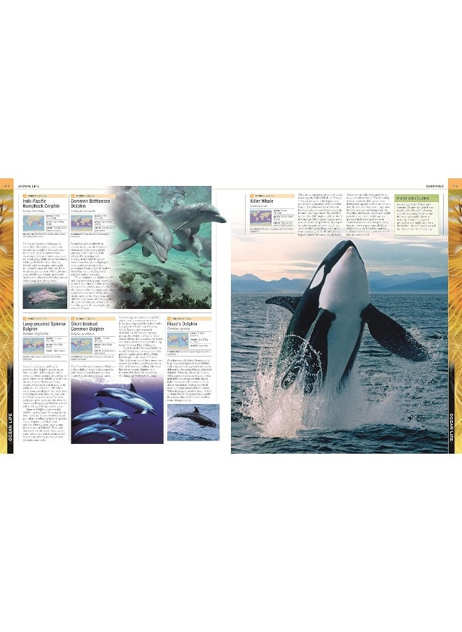 null - Ocean: The Definitive Visual Guide - Image 1