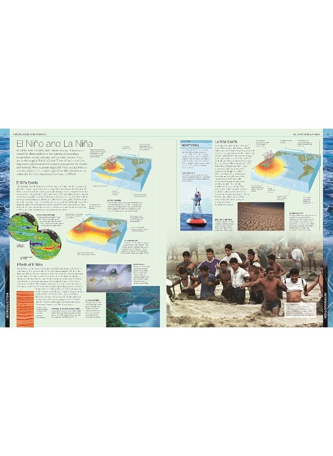 null - Ocean: The Definitive Visual Guide - Image 1