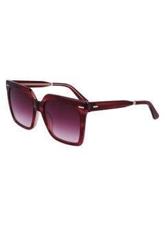 Full Rim Acetate Square Calvin Klein Sun Ck22534S 5518 (605) Burgundy