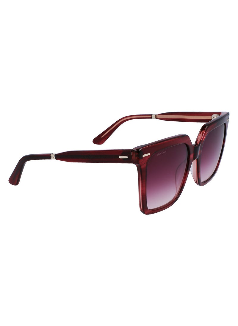 CALVIN KLEIN - Full Rim Acetate Square Calvin Klein Sun Ck22534S 5518 (605) Burgundy - Image 1
