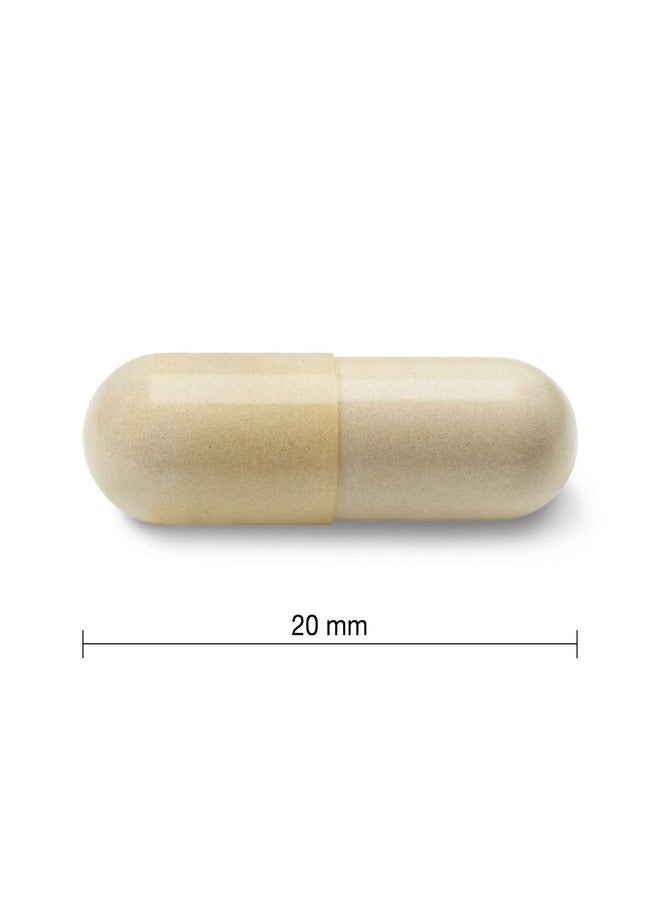 Jamieson - Glucosamine Sulfate 500Mg 360 Capsules - Image 1