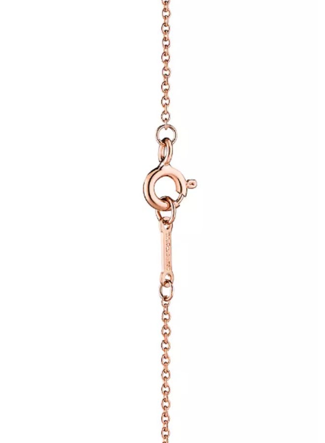 Tiffany & Co. Tiffany Paloma Picasso® Series X Necklace - Image 5