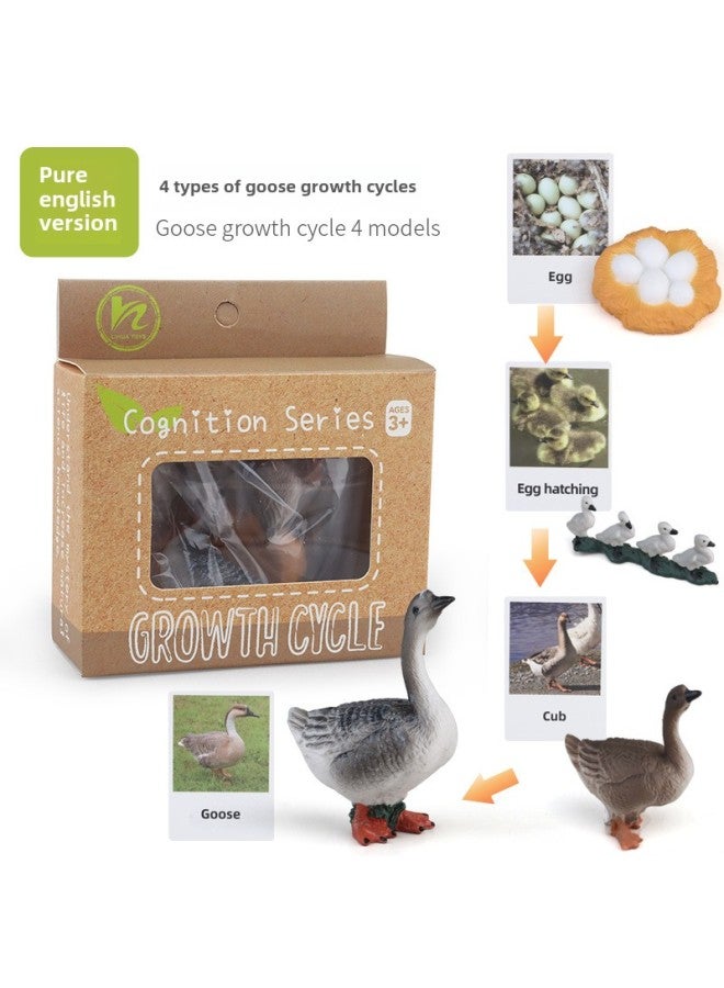 Realistic Simulation Animal Plant Models Toy Collection - Dinosaurs Dragons Unicorns Mermaids Sharks More-Color:PL127-2418 Goose Growth Cycle + English Card + Color Box