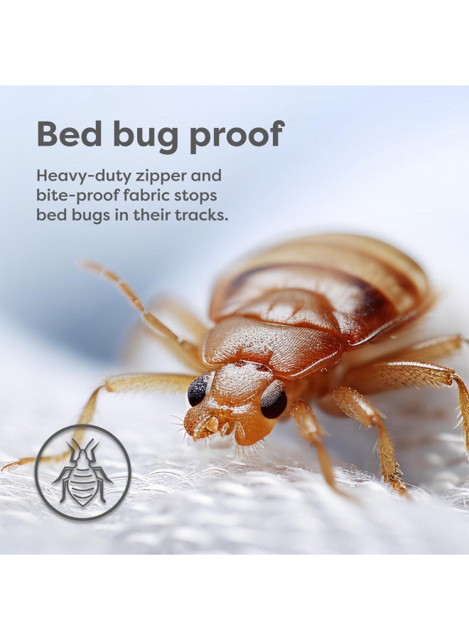 HOSPITOLOGY PRODUCTS HOSPITOLOGY PRODUCTS Pillow Encasement- Zippered Bed Bug Dust Mite Proof Hypoallergenic - Sleep Defense System - Standard - Waterproof - Set of 2 - 20" H x 26" W  - Image 3