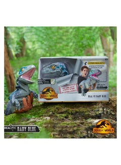 WOW! STUFF WOW! STUFF - Jurassic World REAL FX Baby Blue Dinosaur Toy | Hyper-Realistic Animatronic Dinosaur | Life-Like Movements and Real Movie Sounds | Jurassic World Dominion Official Toys | 8 + age  - Image 5